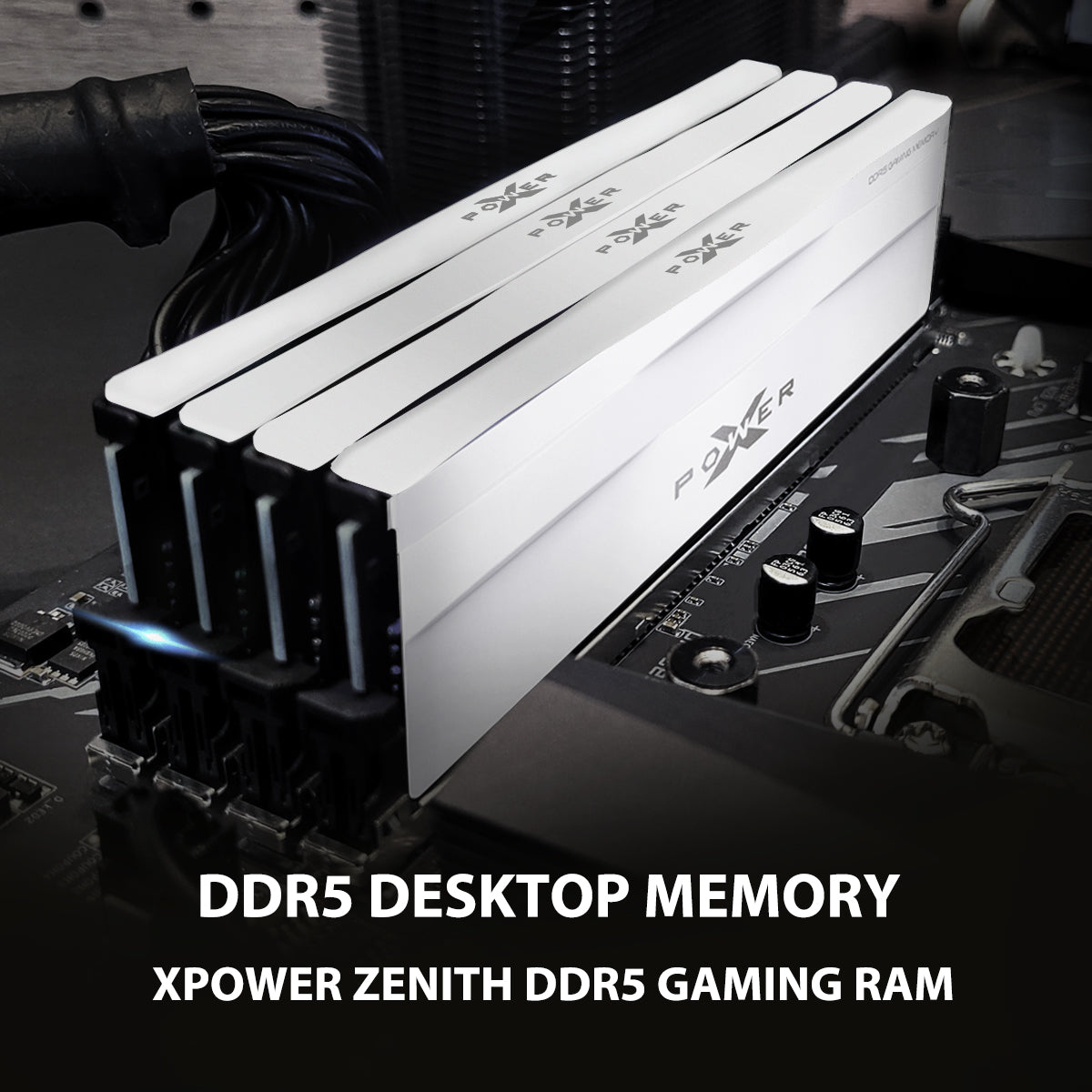 Silicon Power Zenith Gaming DDR5 6000MT/s (PC5-48000) CL30 32GB(2x16GB)-64GB(2x32GB) AMD Expo/Intel XMP 3.0 Dual Pack 1.35V Desktop Unbuffered DIMM [White]