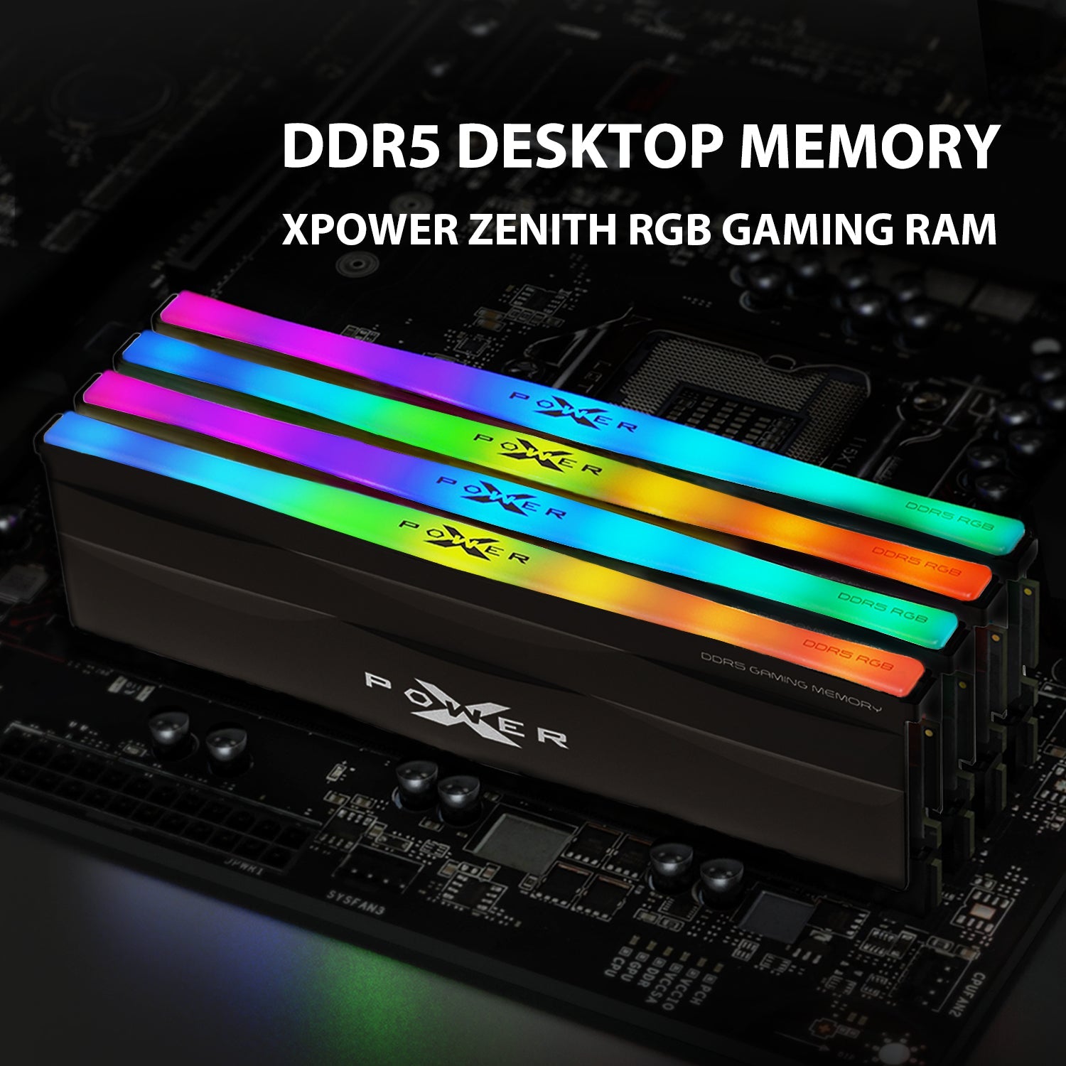 Silicon Power Zenith RGB DDR5 6000MT/s (PC5-48000) CL30 32GB(2x16GB)-64GB(2x32GB) AMD Expo/Intel XMP 3.0 Dual Pack 1.35V Desktop Unbuffered DIMM [Black]