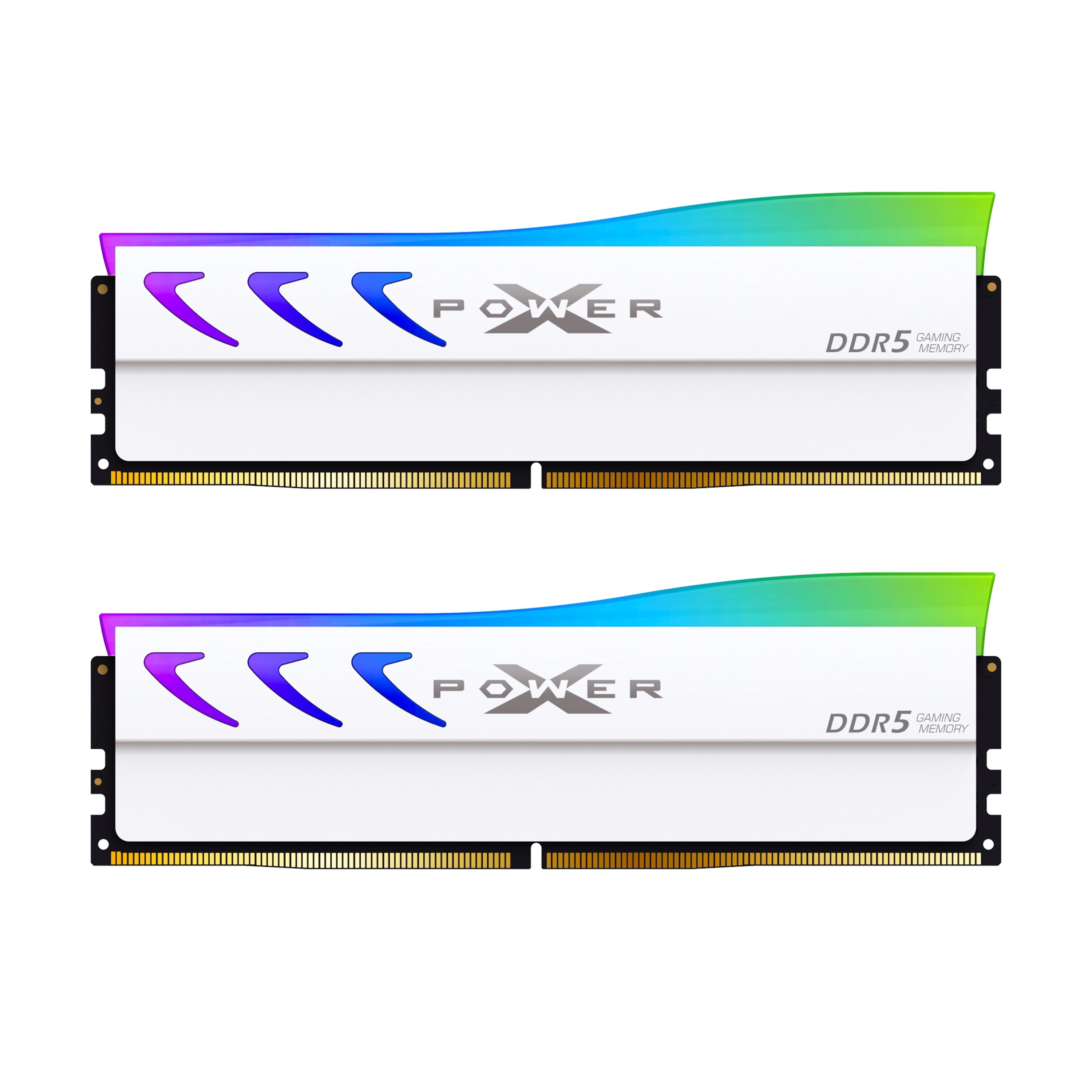 Silicon Power Storm RGB DDR5 6000MT/s (PC5-48000) CL36 32GB(2x16GB) Dual Pack 1.35V Desktop Unbuffered DIMM [Grey/Whtie]